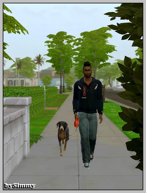 Rob Cardif & Barkley by Simmy at All 4 Sims
