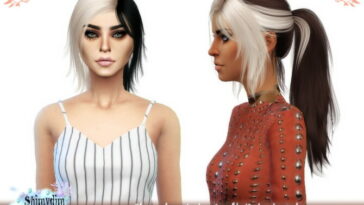 Anto Croft Hair Retexture at Shimydim Sims