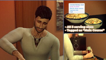 Chicken Noodle Soup Custom Recipe at Mod The Sims 4