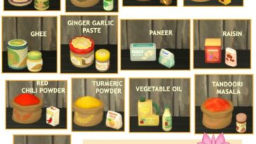 FUNCTIONAL MILL – INDIAN GROCERY EDITION at Icemunmun