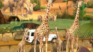 Go To Safari at Lily Sims