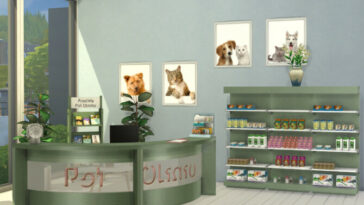 Healthy Pet Clinic Reception by kardofe at TSR