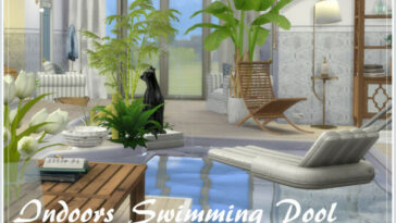 Hugo ‘s Indoors Swimming Pool by philo at TSR