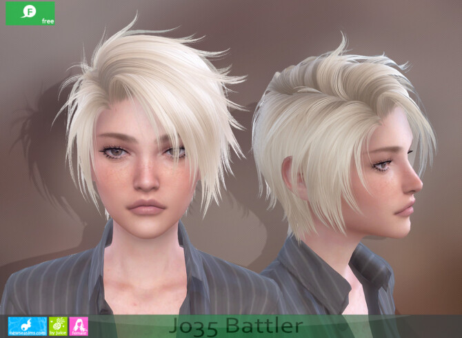 J035 Battler hair for females at Newsea Sims 4
