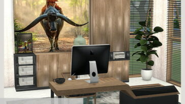 Office Set at Dinha Gamer
