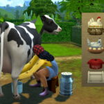 Portable Cooling Containers (Milk, Eggs, Prepared Foods) at Mod The Sims 4