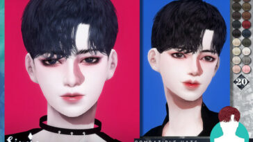 Solitude Hair by KIMSimjo at TSR