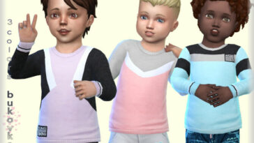 Sweater Color Block by bukovka at TSR