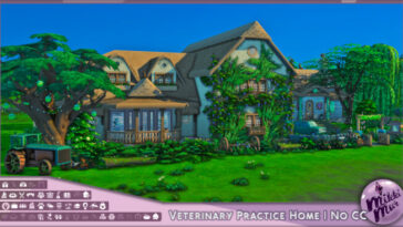Veterinary Practice Home at MikkiMur