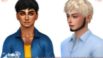 Wings TZ1209 Hair Retexture at Shimydim Sims