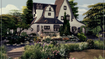 Arcane Illusions-Witch House by Danuta720 at TSR