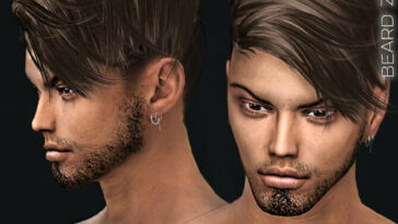 BEARD Z04 by ZENX at TSR