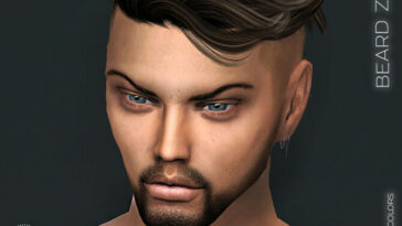 BEARD Z09 by ZENX at TSR