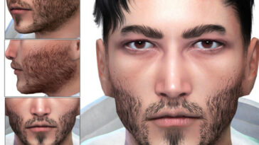 Beard N87 by Seleng at TSR
