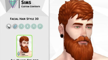 Facial Hair Style 30 by David_Mtv at TSR
