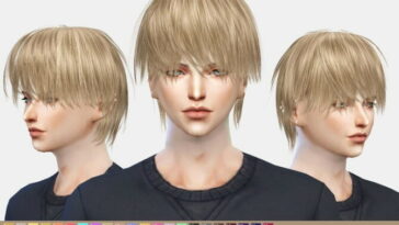 https://karzalee.wixsite.com/studiok/post/hair-skc11-ray