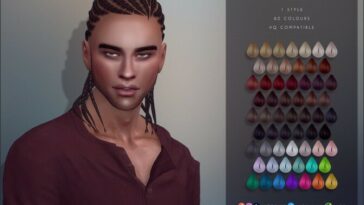 Ismael braided hair by Anto at TSR