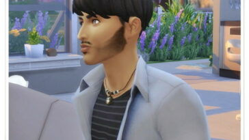 Lee Male Hair at Birksche’s SimModels