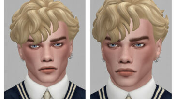 Lucas Hairstyle by Merci at TSR