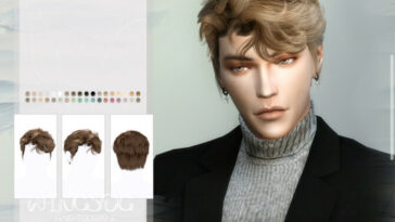 Male curly hair by wingssims at TSR