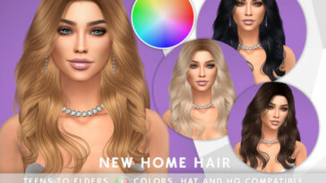 New Home COLOR SLIDER (retexture) by SonyaSimsCC at TSR
