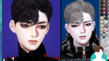 Noir Hair by KIMSimjo at TSR