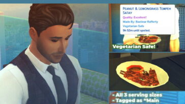 Peanut and Lemongrass Satay Skewers at Mod The Sims 4