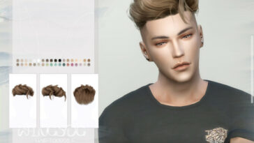 Slicked Back Hairstyle by wingssims at TSR
