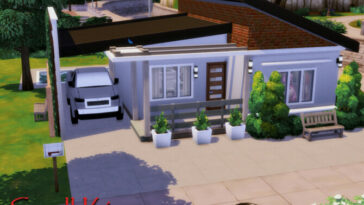 Small King house No CC by GenkaiHaretsu at TSR