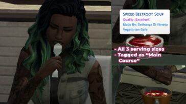 Spiced Beetroot Soup Custom Recipe by RobinKLocksley at Mod The Sims 4
