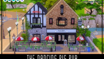 The Flying Pig Pub at Strenee Sims