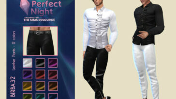 The Perfect Night Leather Pants by Birba32 at TSR