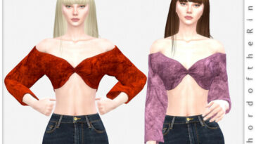 Top No.29 by ChordoftheRings at TSR