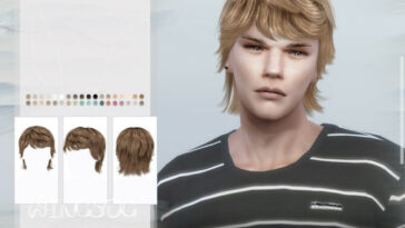 WINGS-TO0622 hair by wingssims at TSR