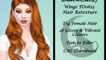 Wings TO0613 Hair Retexture by BlackCat27 at TSR